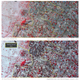 Image for article titled Satellite images show Boko Haram’s destruction in Nigeria and it’s far worse than anyone realized
